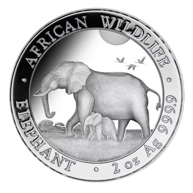 African Wildlife Elephant Silver Coin 2 Oz 2022