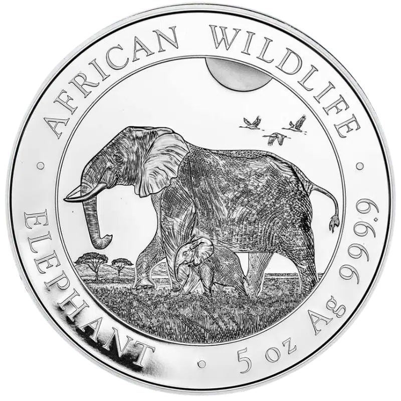 African Wildlife Elephant Silver Coin 5 Oz 2022