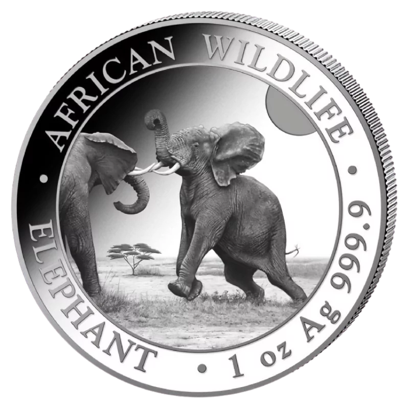 African Wildlife Elephant Silver Coin 1 Oz 2024