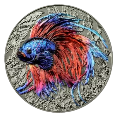 Representatives Of The Species – Betta Fish Silver Coin HR 2 Oz 2024