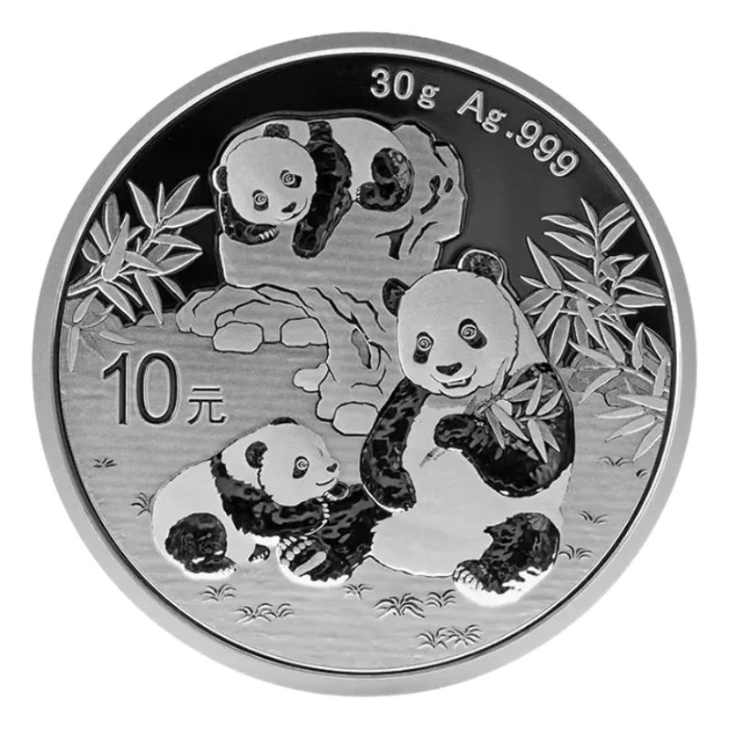Chinese Panda Silver Coin BU 30 Gram 2025