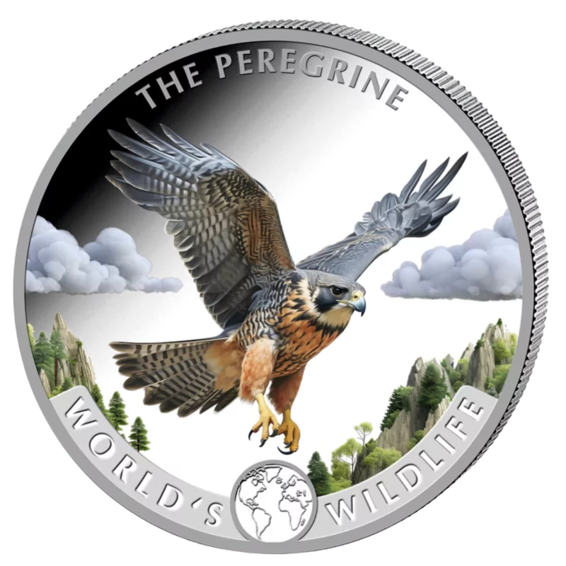 World's Wildlife - Peregrine Falcon Silver Color Coin 1 Oz 2024