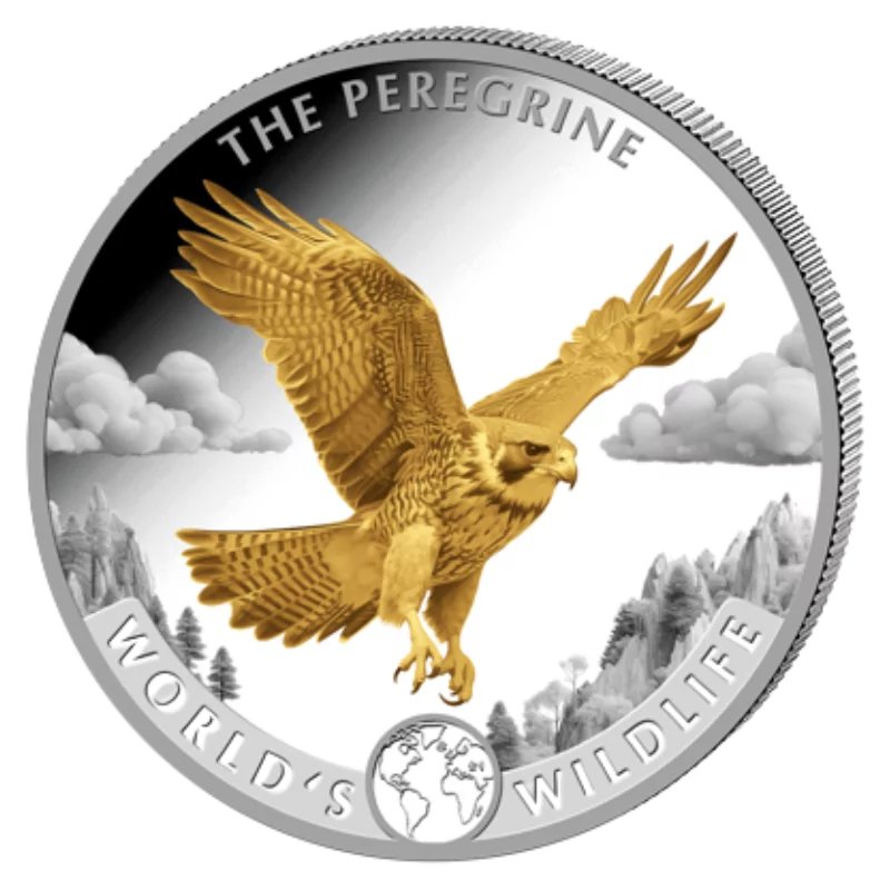 World's Wildlife - Peregrine Falcon Silver Gilded Coin 1 Oz 2024