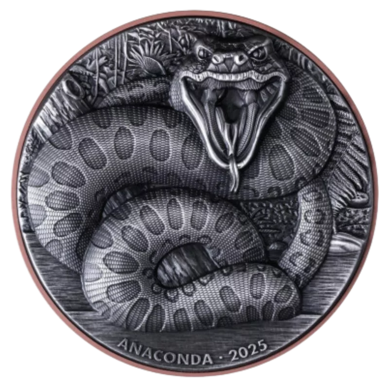 Double Silver Giant - Anaconda 10 Gram Silver 145 Gram Copper 2025