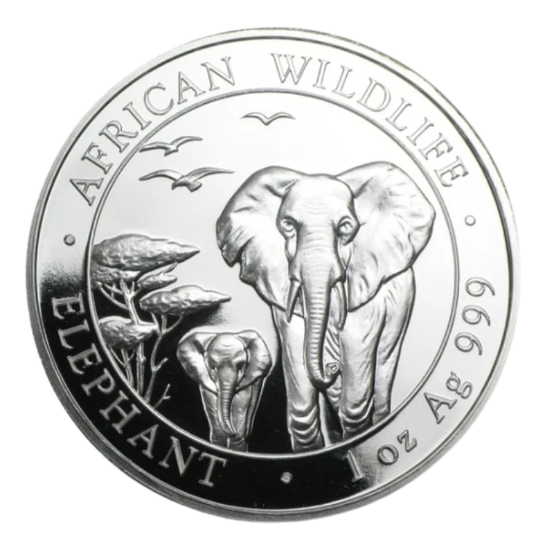 African Wildlife Elephant Silver Coin 1 Oz 2015