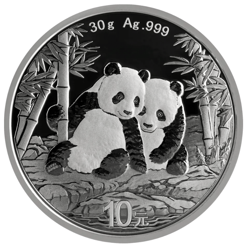 Chinese Panda Silver Coin 30 Gram 2026