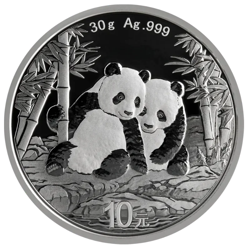 Chinese Panda Silver Coin 30 Gram 2026