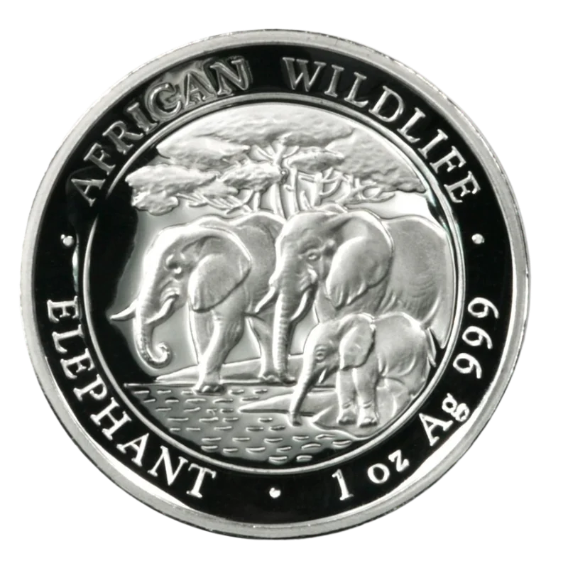 African Wildlife Elephant Silver Coin Proof 1 Oz 2013